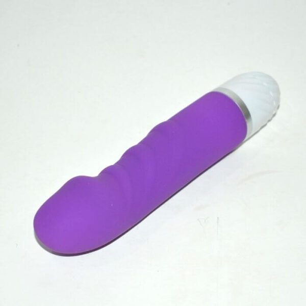Bini Vibrator Sex Massager Toy